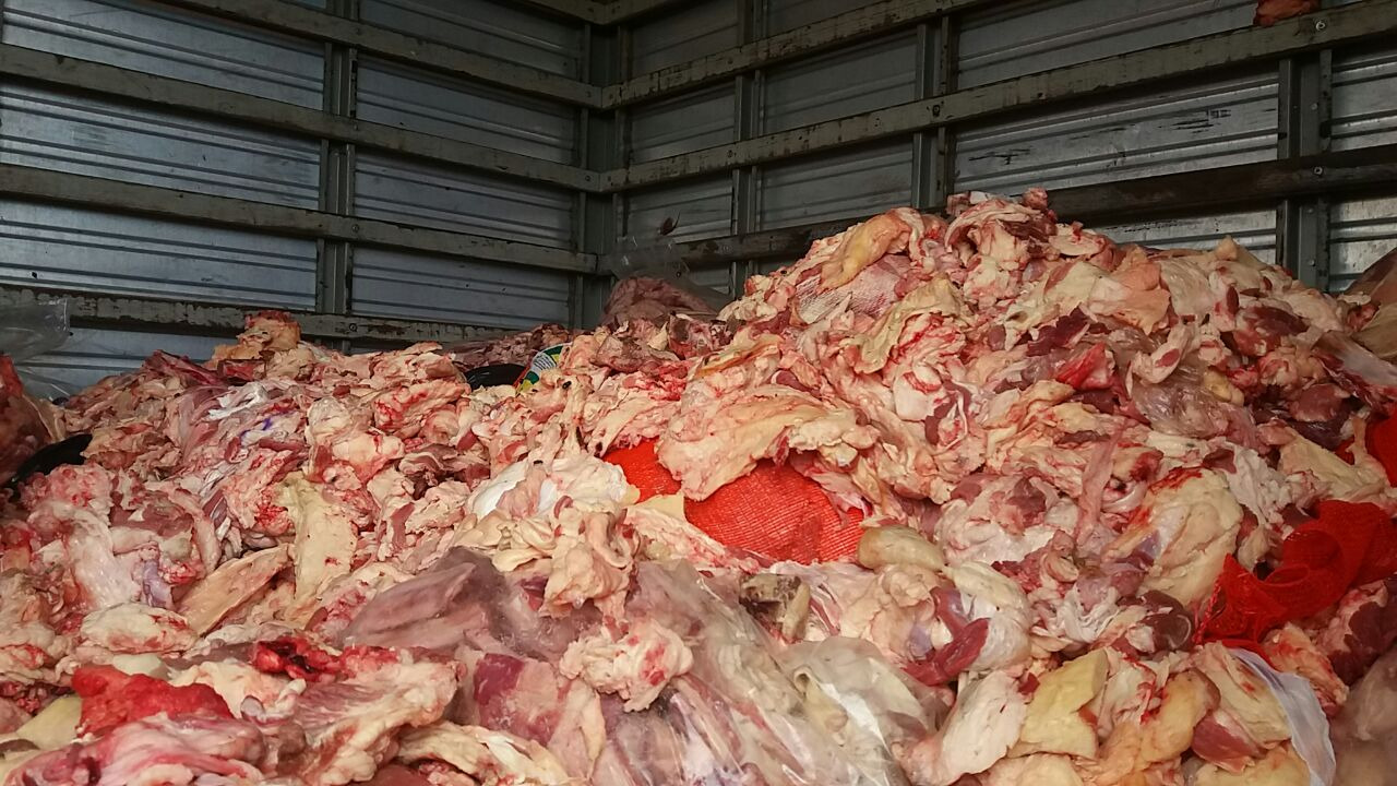 carne estragada descarte lixo