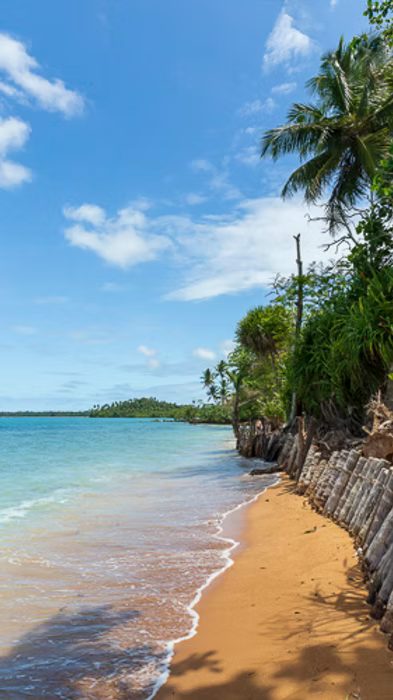 Bahia, Brasil Como escolher negócios e serviços na Bahia