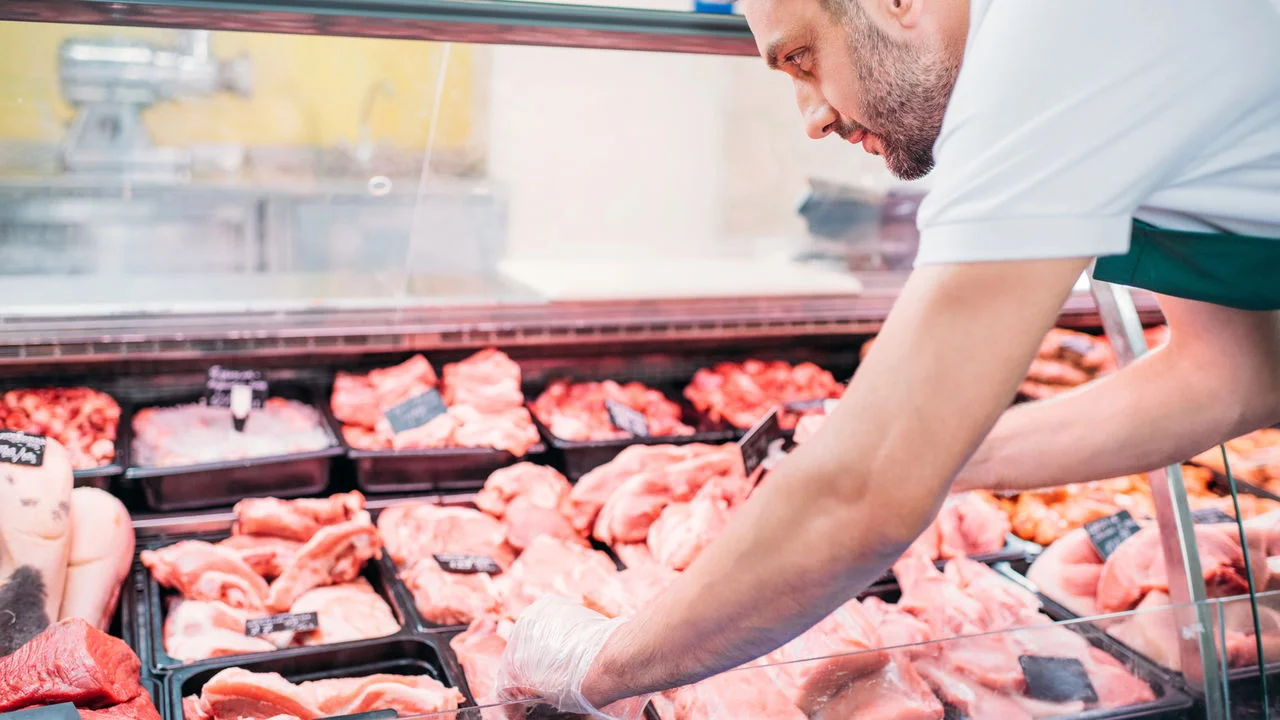 pedaço de carne fresca sendo examinado