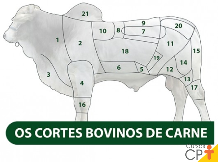 Cortes de carne bovina: classificações e características