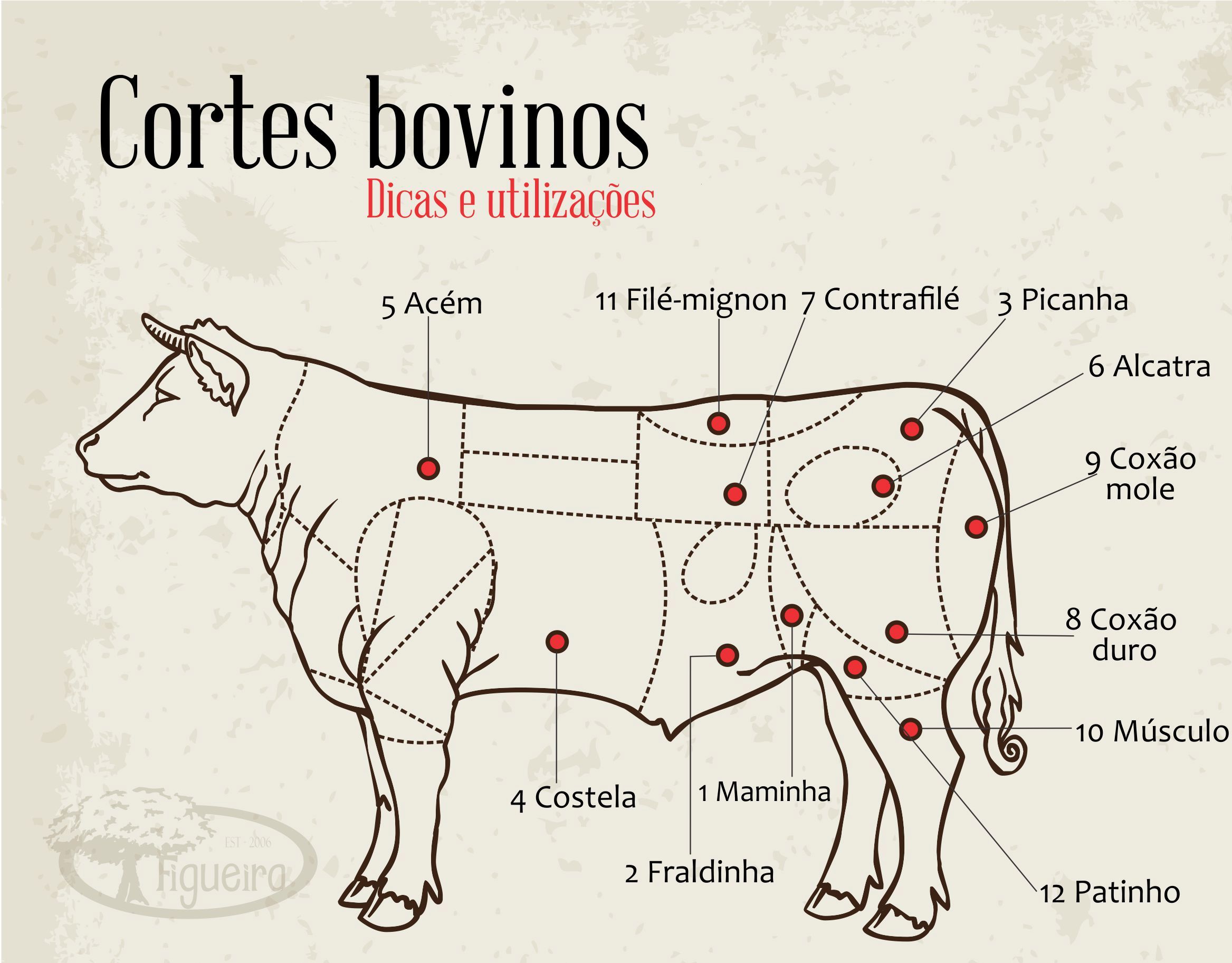 corte bovino fraldinha localização anatômica
