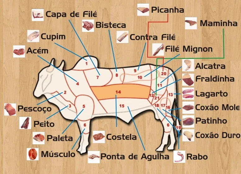 filé mignon, contrafilé, alcatra, picanha cortes de carne