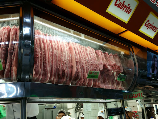 Porco Feliz Porco Feliz