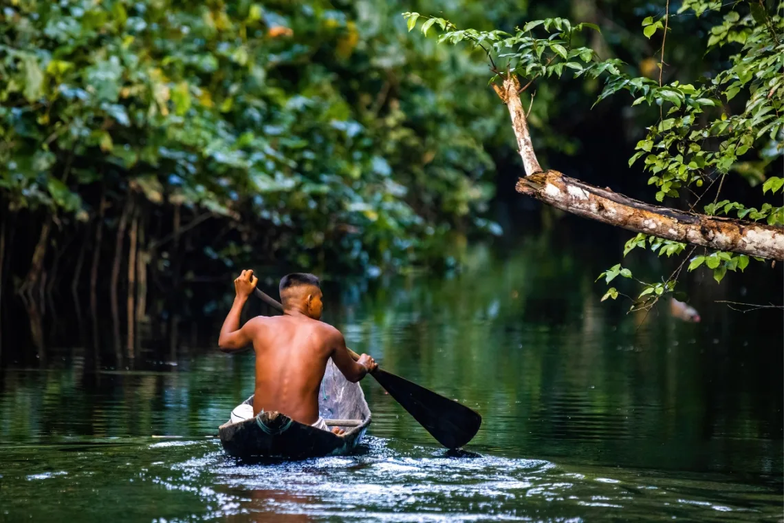 Amazonas, Brasil Consejos para elegir negocios y servicios en Amazonas